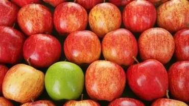 Een groep rode appels met een groene appel ertussen.